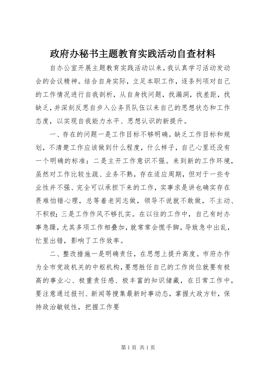 2023年政府办秘书主题教育实践活动自查材料.docx_第1页