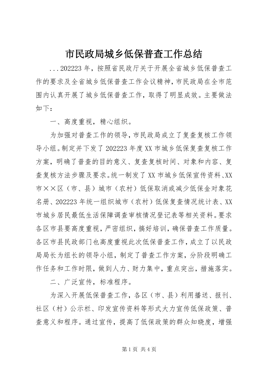 2023年市民政局城乡低保普查工作总结.docx_第1页