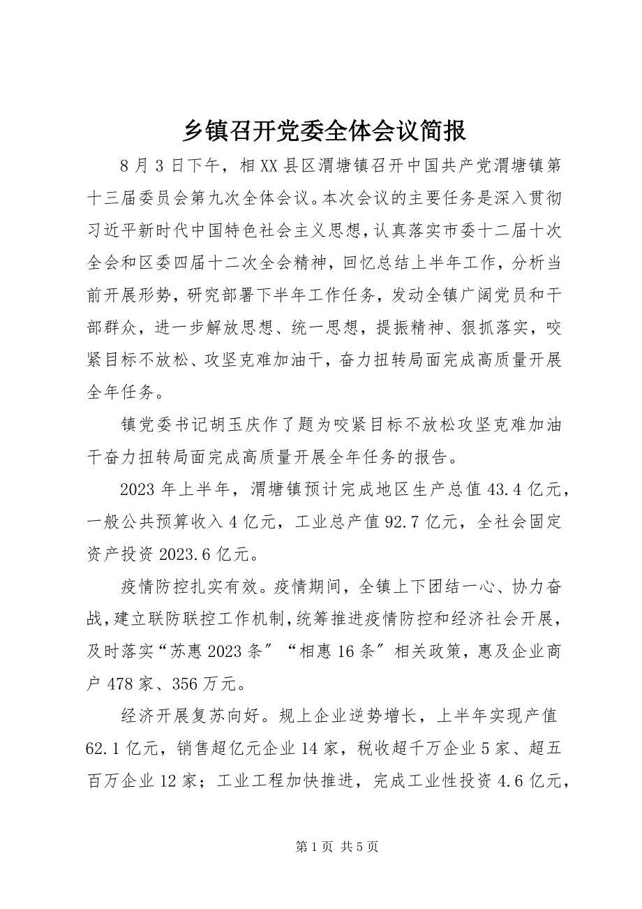 2023年乡镇召开党委全体会议简报.docx_第1页