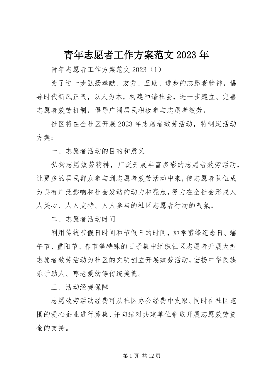 2023年青年志愿者工作计划3.docx_第1页