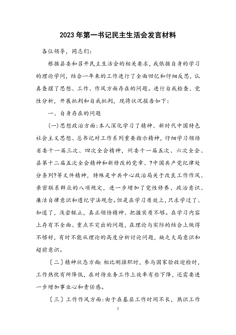 2023年第一书记民主生活会发言材料.docx_第1页