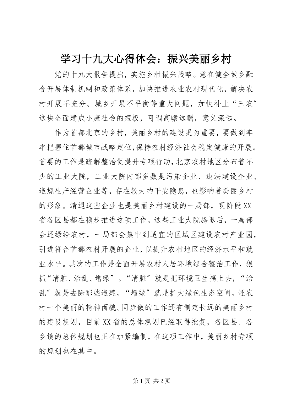 2023年学习十九大心得体会振兴美丽乡村.docx_第1页