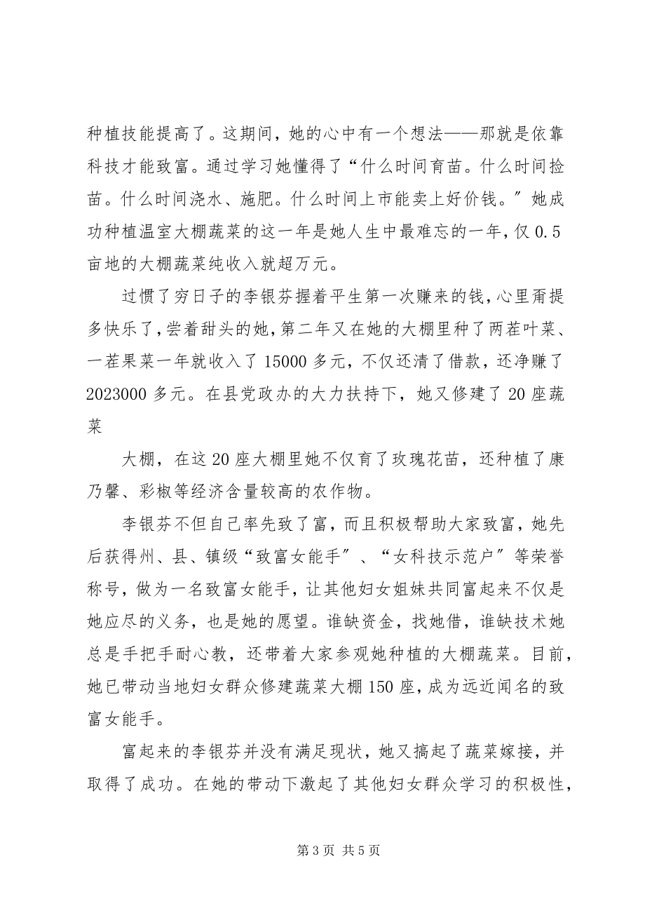 2023年十佳致富能手事迹材料.docx_第3页