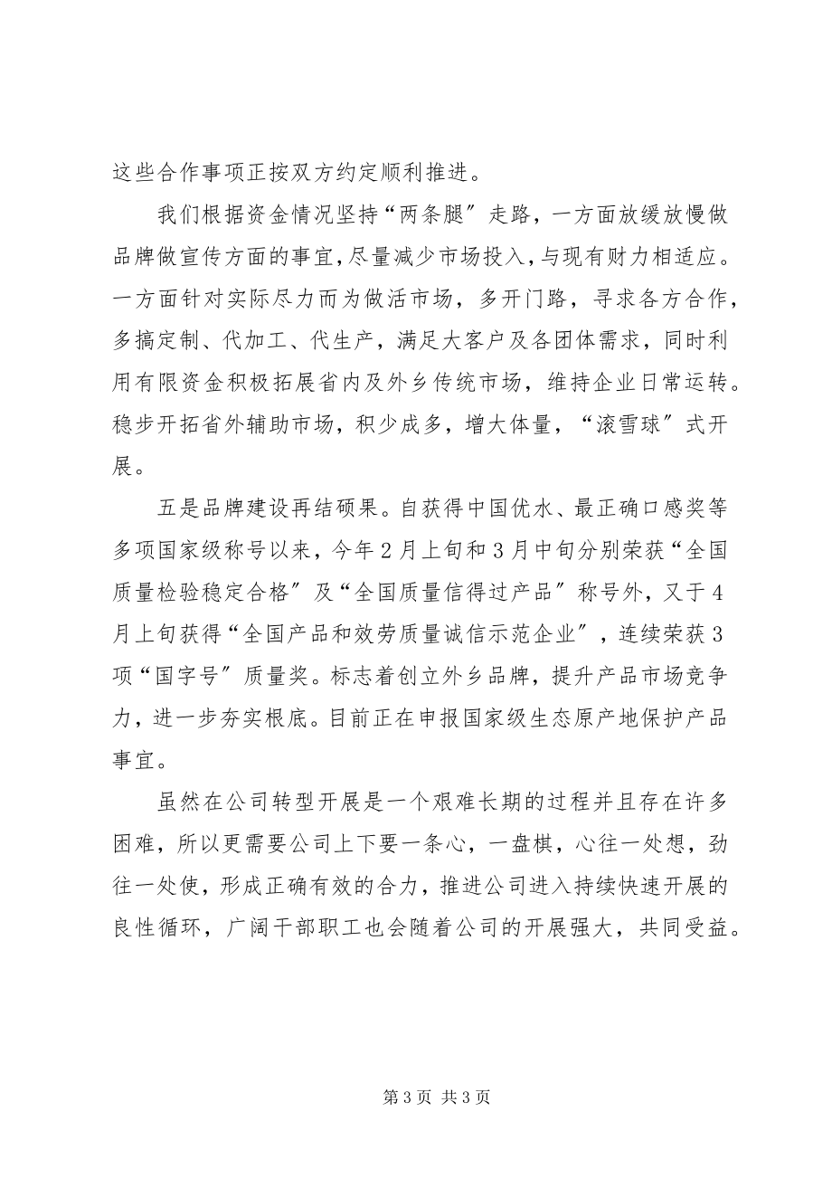 2023年企业转型工作总结.docx_第3页