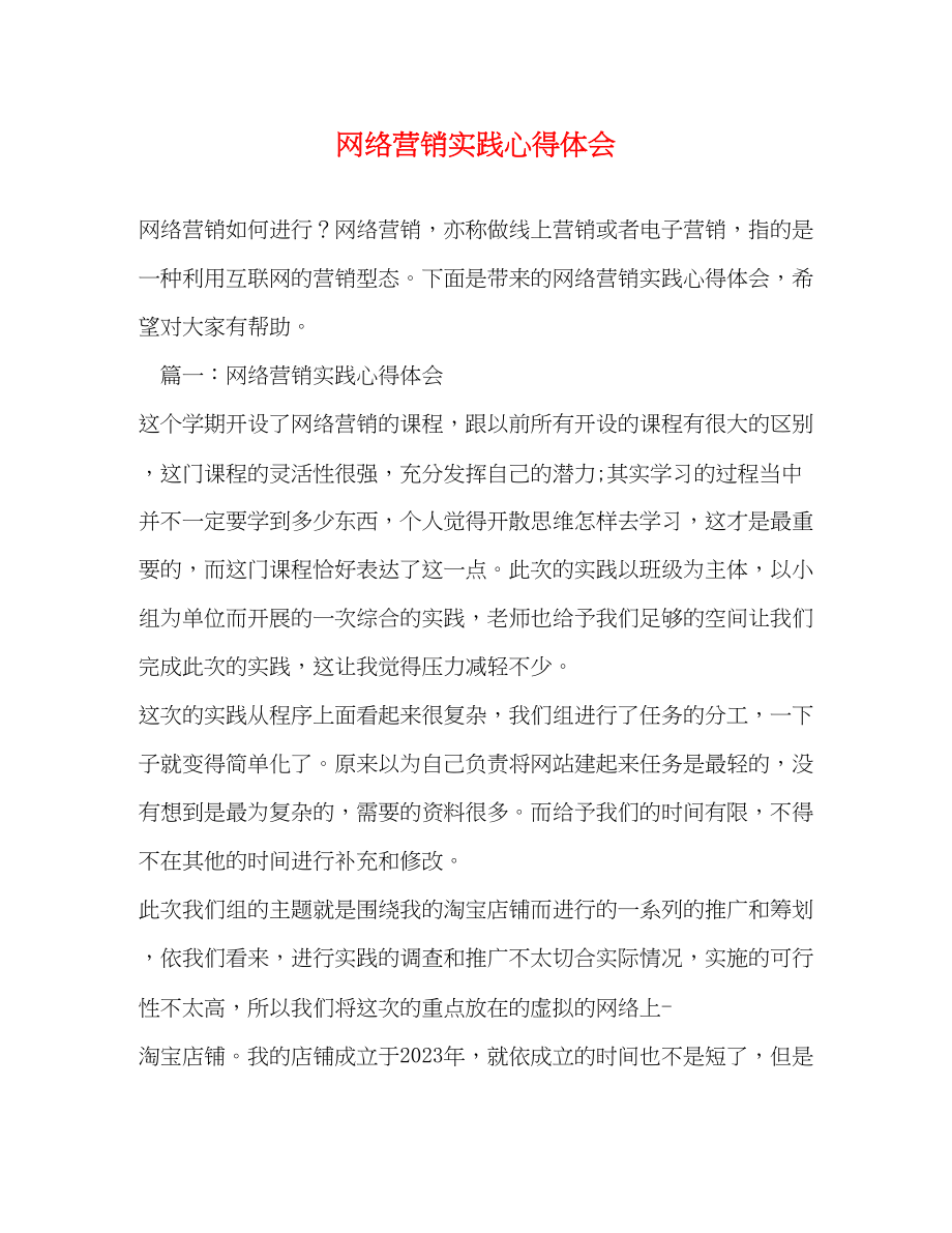 2023年网络营销实践心得体会.docx_第1页