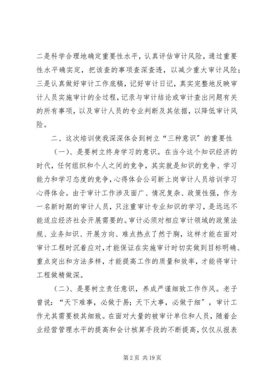 2023年审计人员培训心得体会.docx_第2页