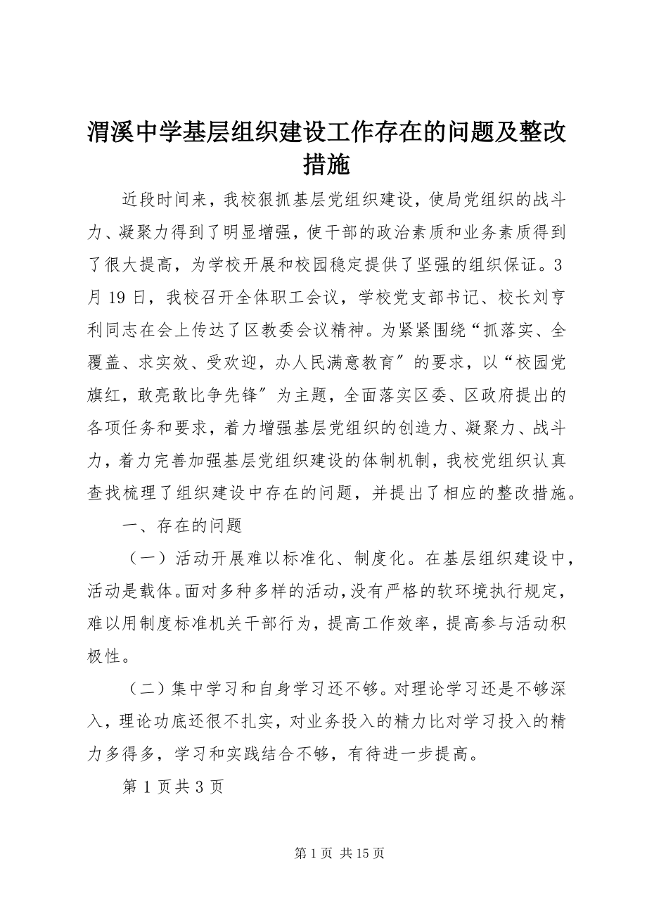 2023年渭溪中学基层组织建设工作存在的问题及整改措施.docx_第1页