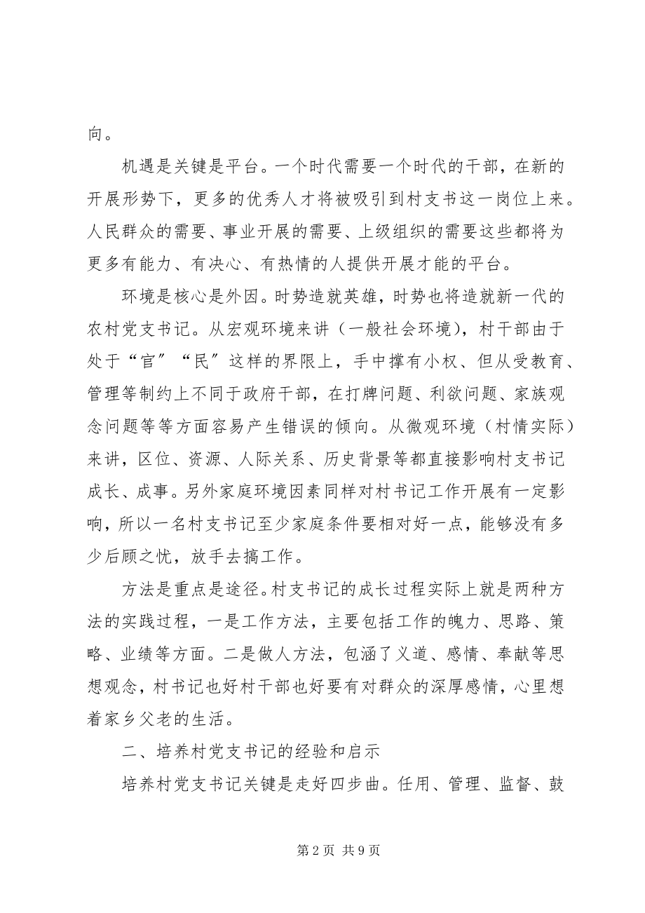 2023年村支书队伍建设的思考.docx_第2页