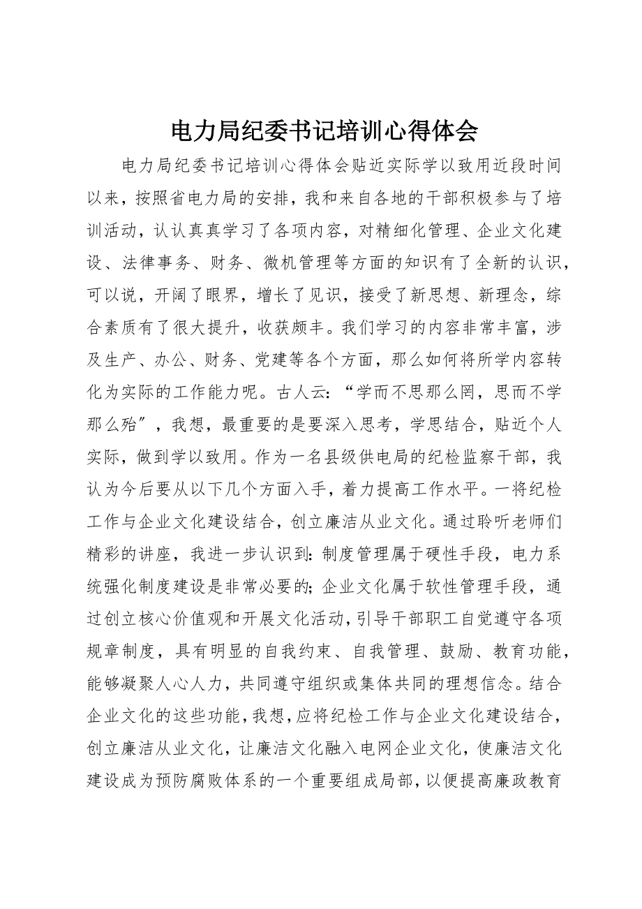 2023年电力局纪委书记培训心得体会新编.docx_第1页