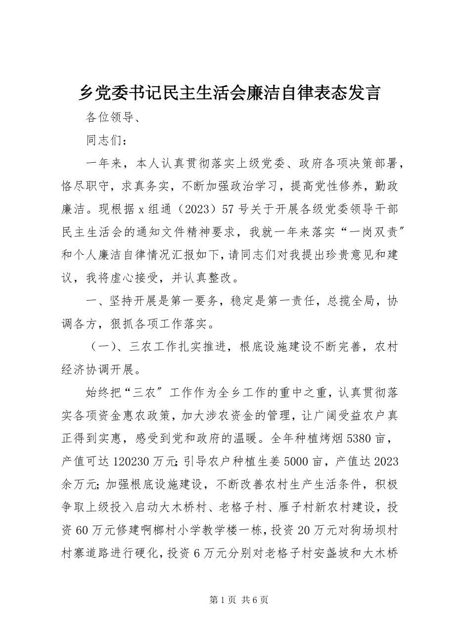 2023年乡党委书记民主生活会廉洁自律表态讲话.docx_第1页