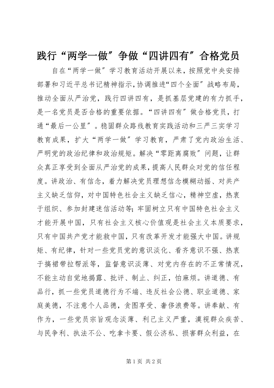 2023年践行“两学一做”争做“四讲四有”合格党员.docx_第1页