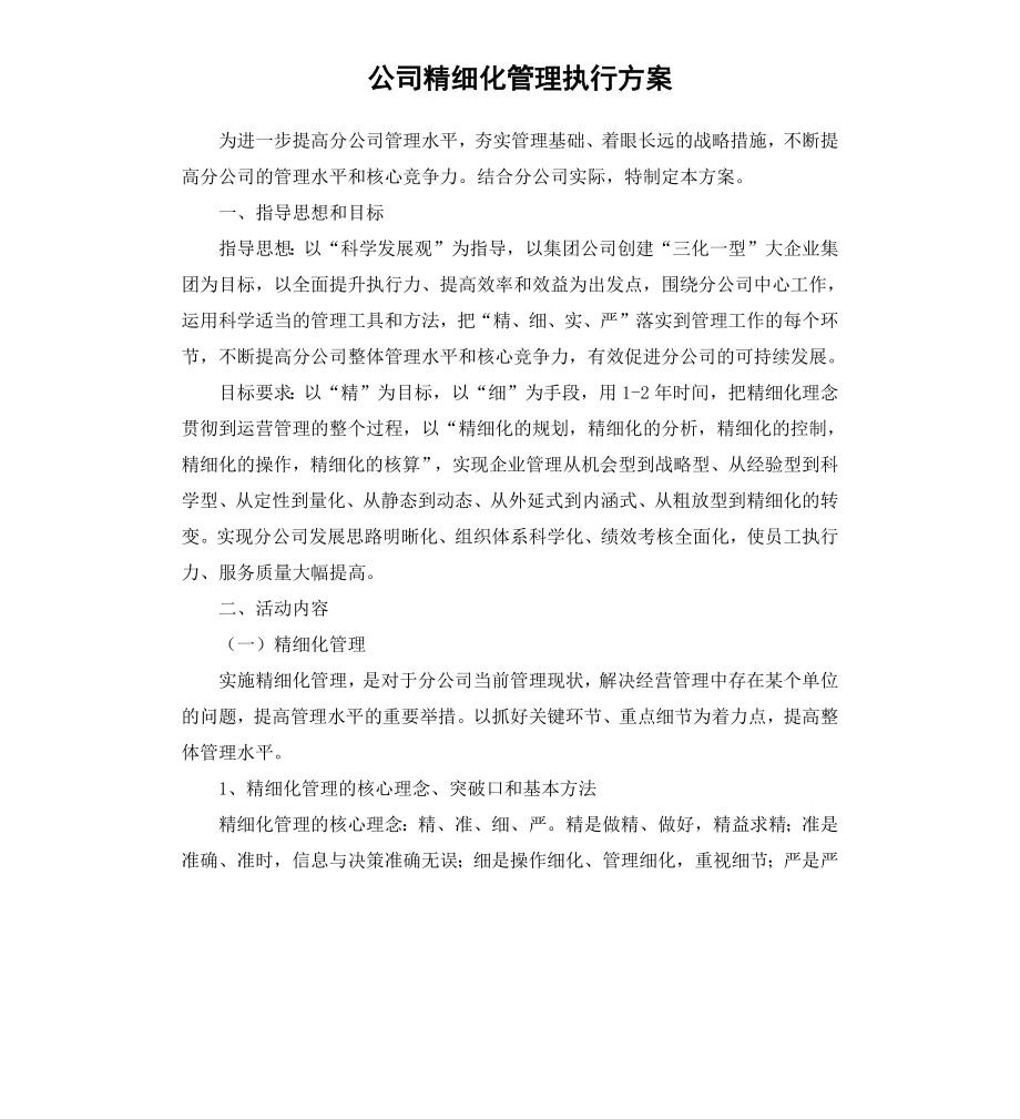 公司精细化管理执行方案.docx_第1页