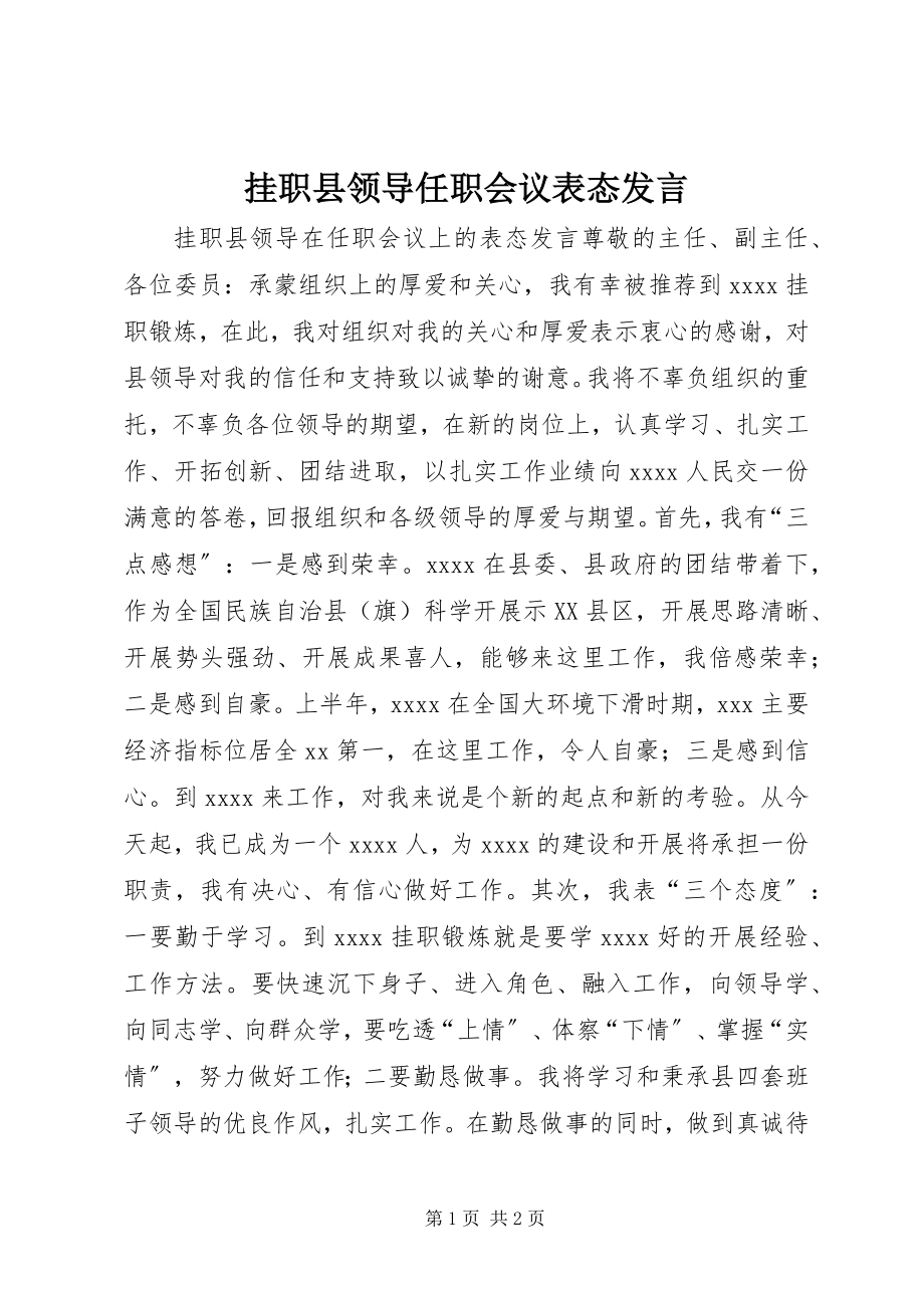 2023年挂职县领导任职会议表态讲话.docx_第1页