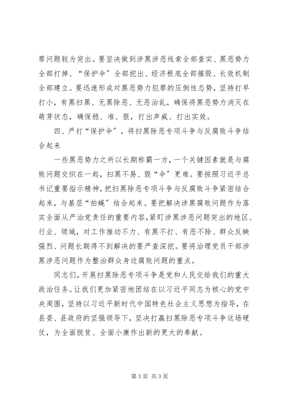 2023年扫黑除恶专项斗争动员会上的致辞.docx_第3页