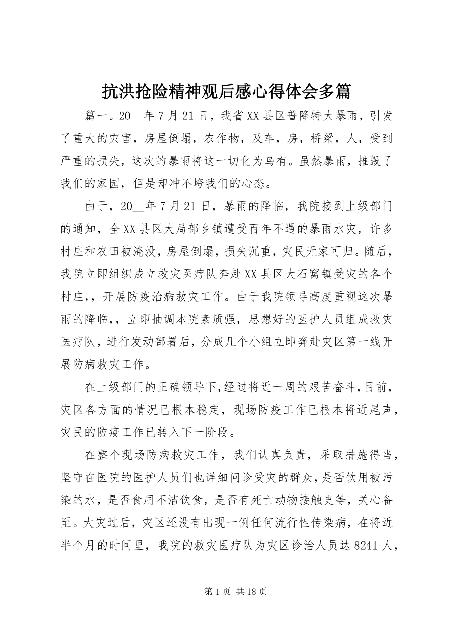 2023年抗洪抢险精神观后感心得体会多篇.docx_第1页