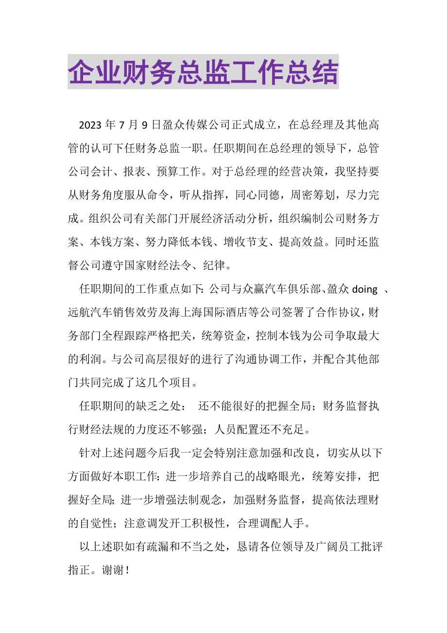 2023年企业财务总监工作总结.doc_第1页