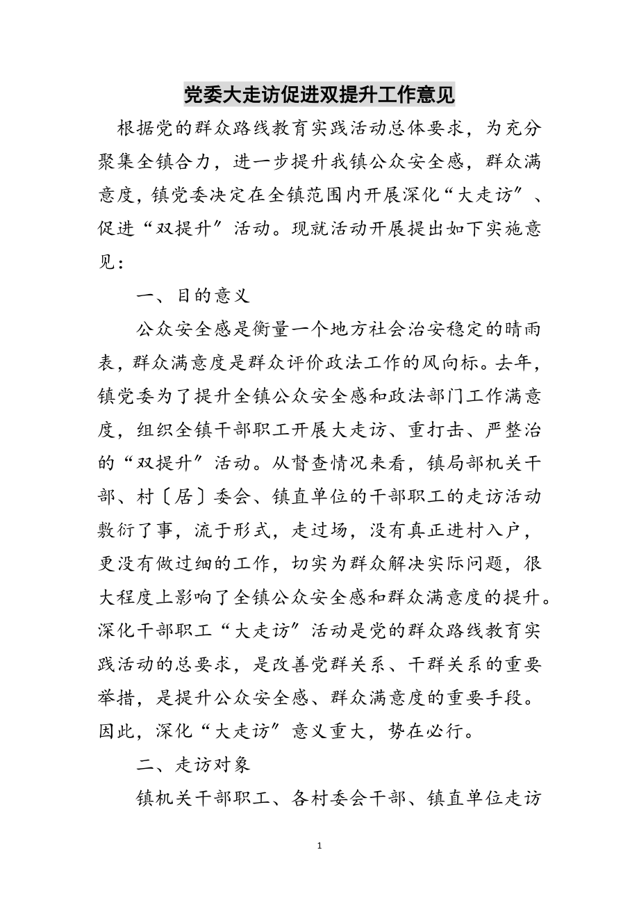 2023年党委大走访促进双提升工作意见范文.doc_第1页