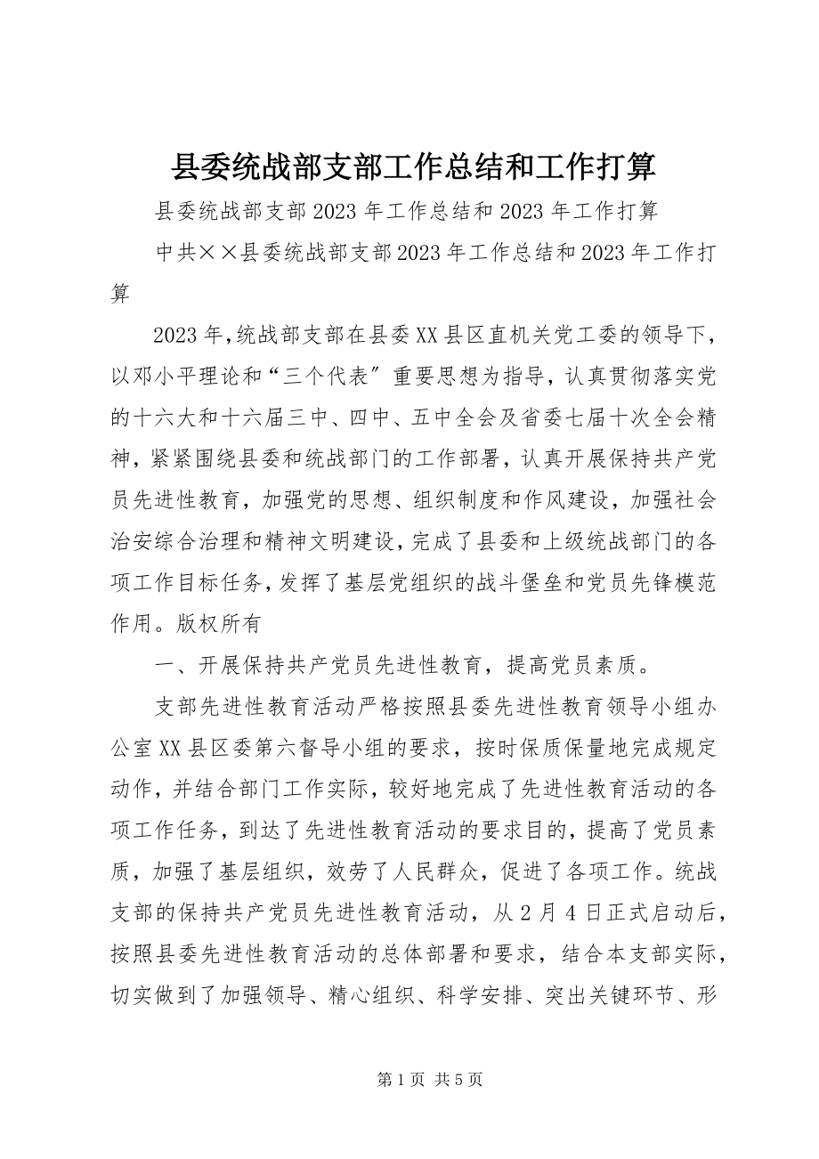 2023年县委统战部支部工作总结和工作打算.docx_第1页