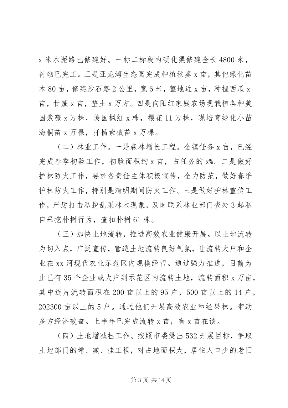 2023年镇人民政府上半年工作总结及下半年工作安排.docx_第3页