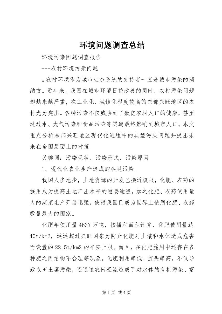 2023年环境问题调查总结.docx_第1页