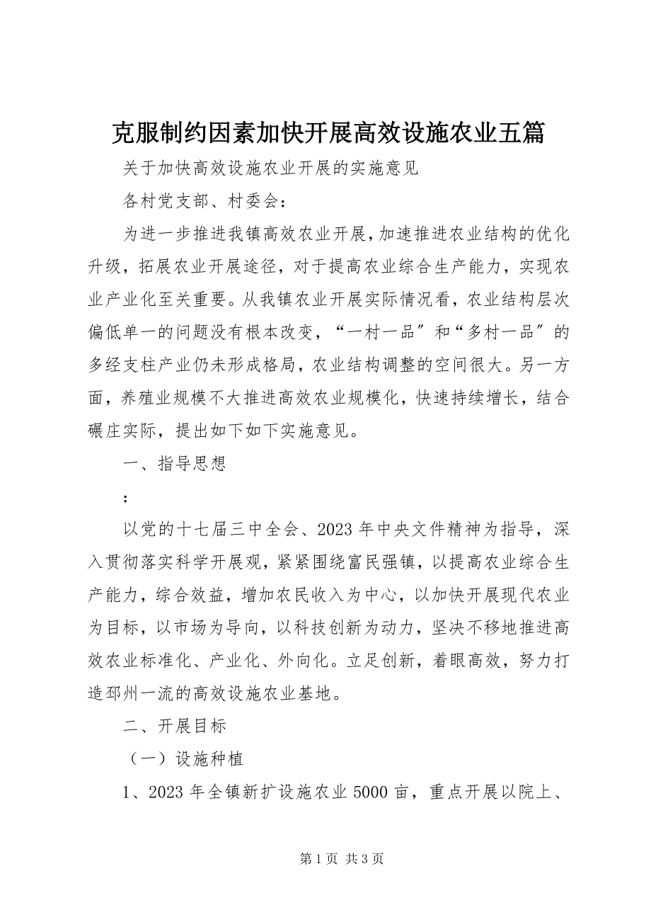 2023年克服制约因素加快发展高效设施农业五篇.docx_第1页