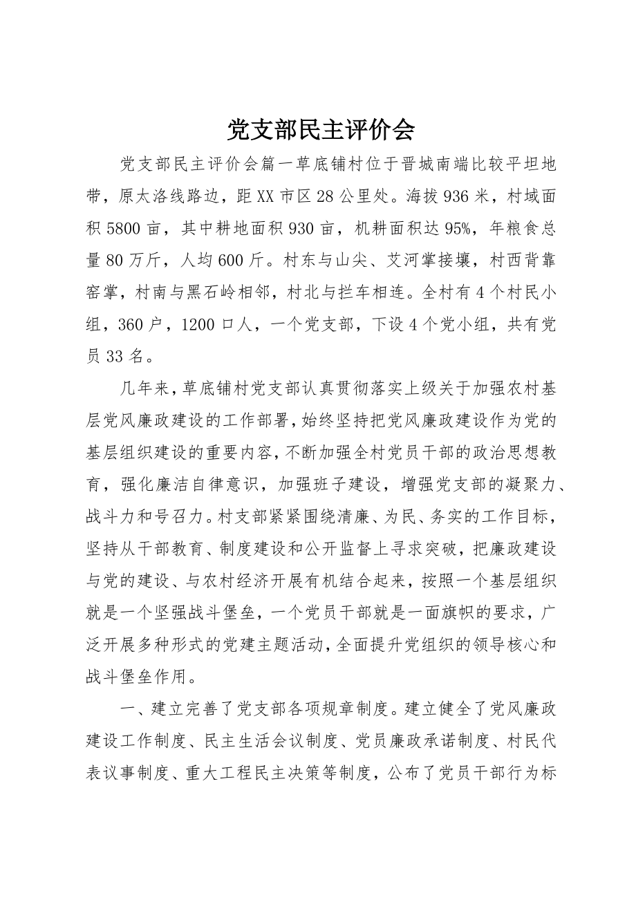 2023年党支部民主评价会.docx_第1页