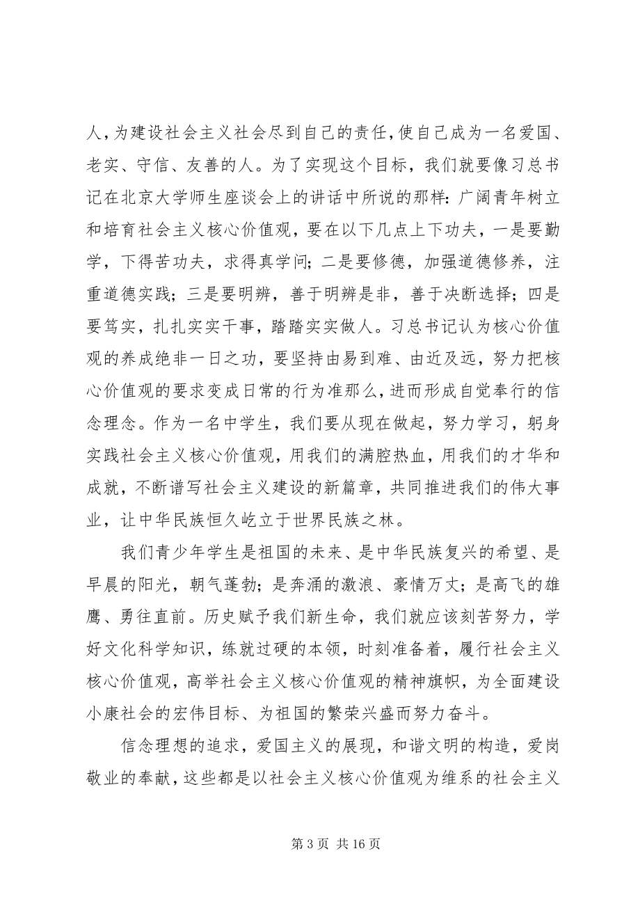 2023年坚定信念践行社会主义核心价值观.docx_第3页