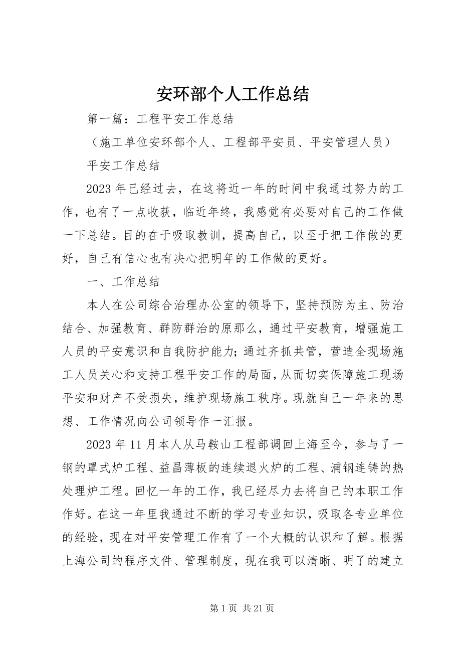 2023年安环部个人工作总结新编.docx_第1页