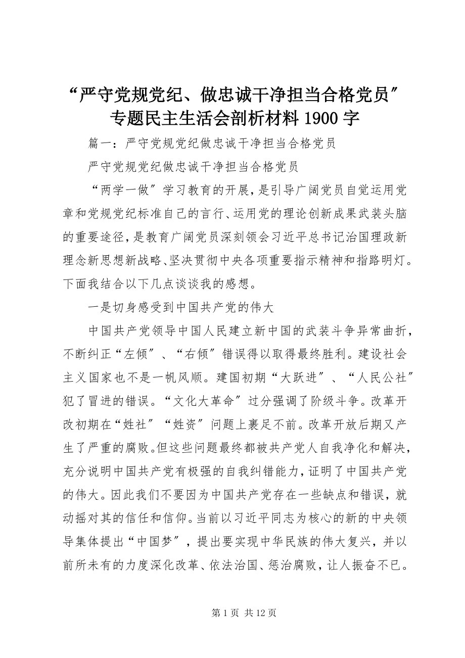 2023年严守党规党纪做忠诚干净担当合格党员专题民主生活会剖析材料字.docx_第1页