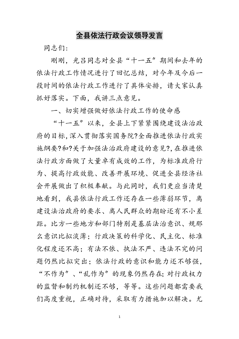 2023年全县依法行政会议领导发言范文.doc_第1页