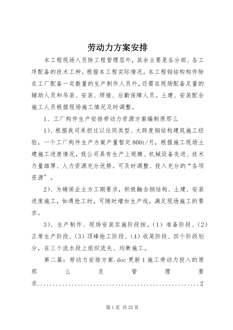 2023年劳动力计划安排.docx_第1页