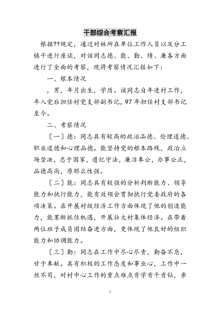 2023年干部综合考察汇报范文.doc_第1页