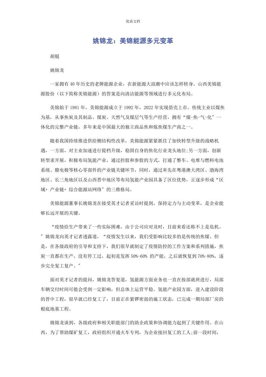 2023年姚锦龙美锦能源多元变革.docx_第1页