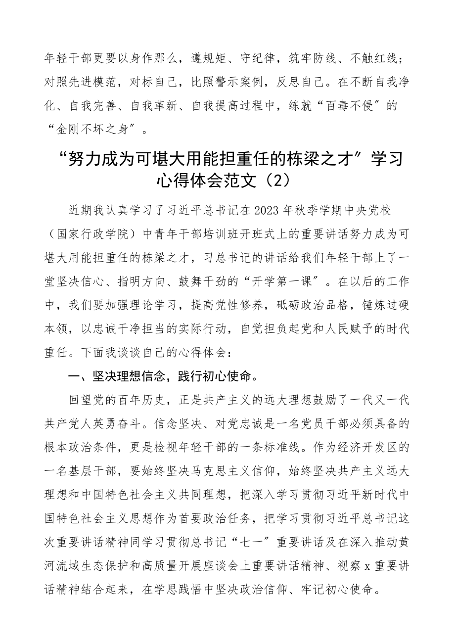 2023年心得体会努力成为可堪大用能担重任的栋梁之才学习心得体会6篇研讨发言材料.docx_第3页