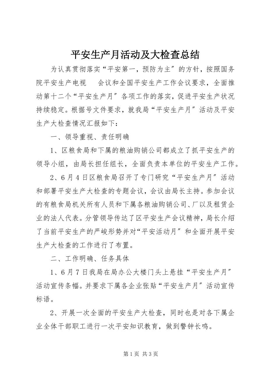 2023年安全生产月活动及大检查总结新编.docx_第1页