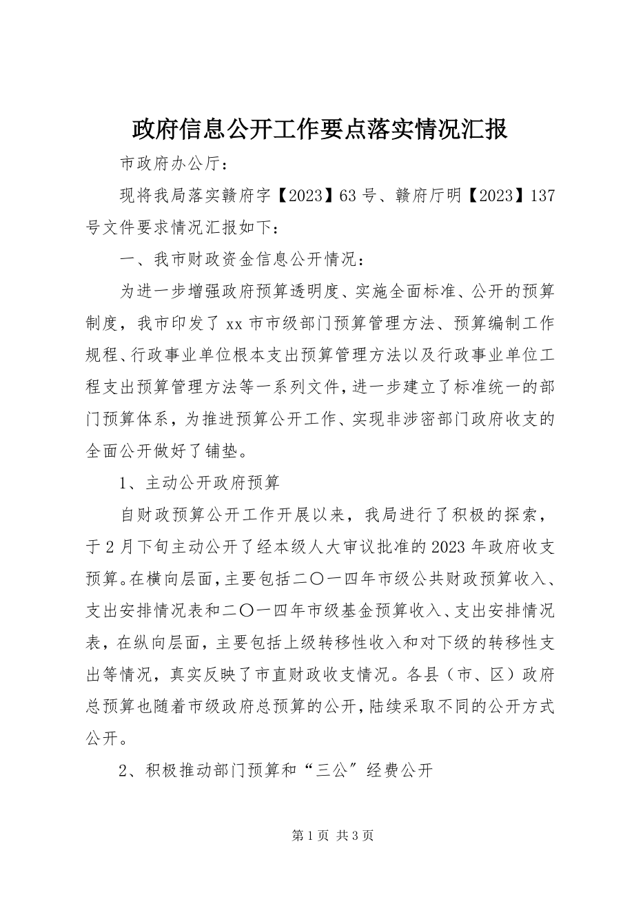 2023年政府信息公开工作要点落实情况汇报.docx_第1页