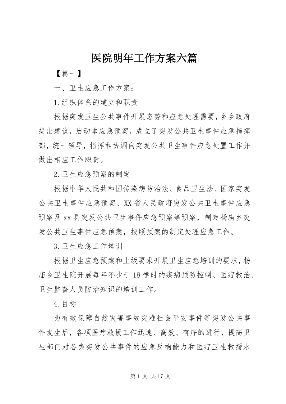 2023年医院明年工作计划六篇.docx_第1页