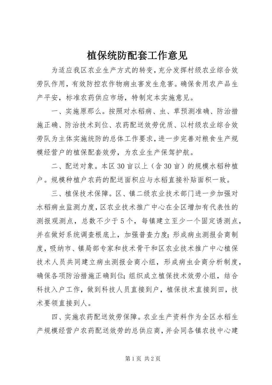 2023年植保统防配套工作意见.docx_第1页