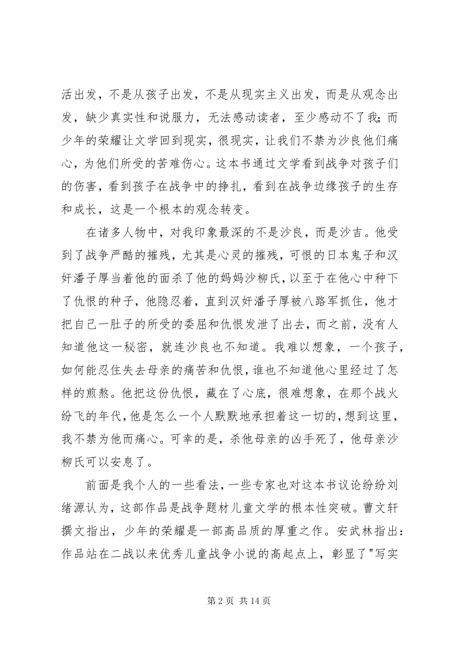 2023年少年的荣耀读后感.docx_第2页