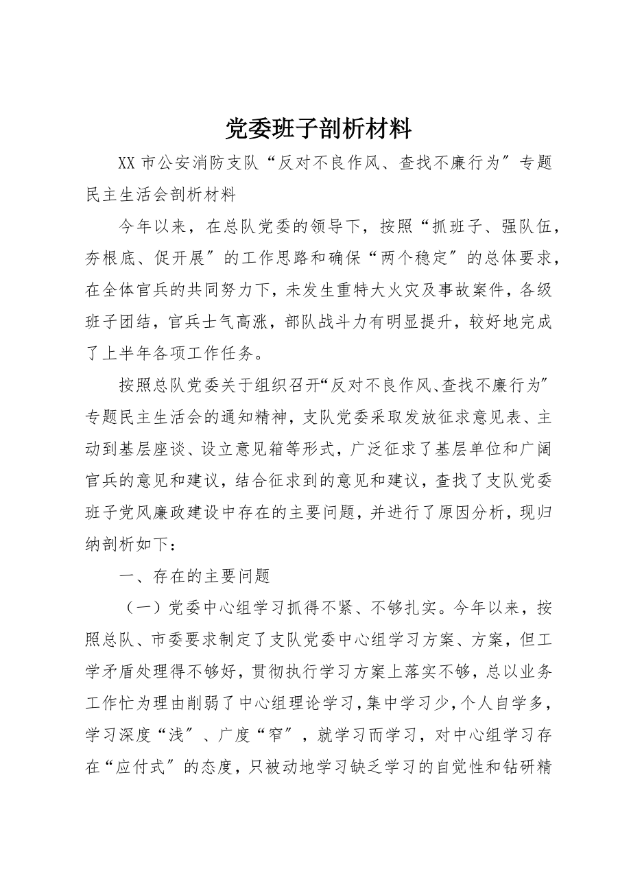 2023年党委班子剖析材料.docx_第1页