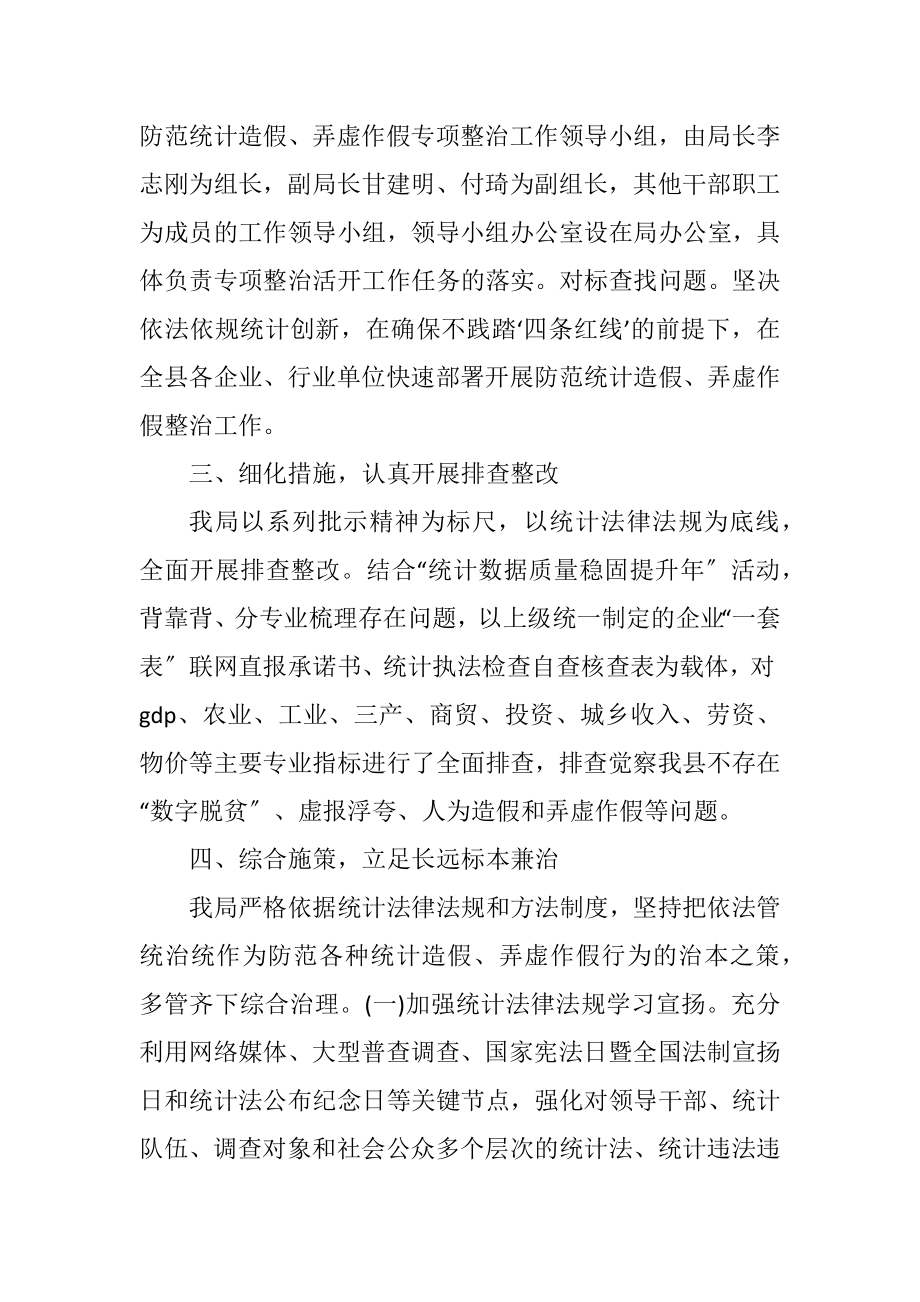 2023年防范统计造假工作总结.docx_第2页