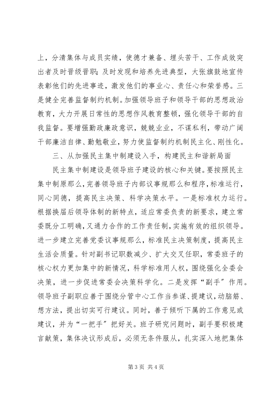 2023年领导班子建设的几点思考和体会.docx_第3页