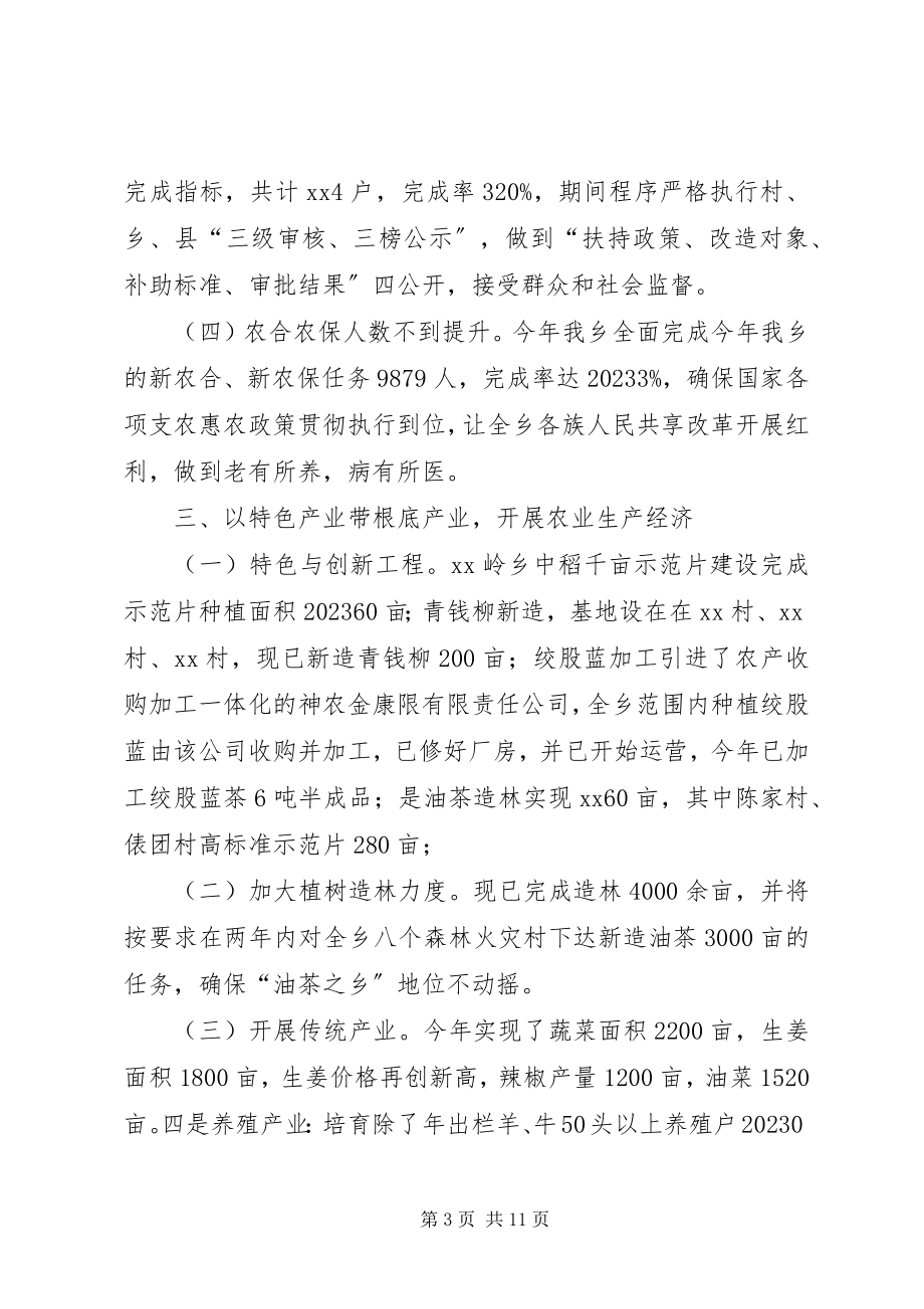 2023年乡工作总结与工作计划.docx_第3页