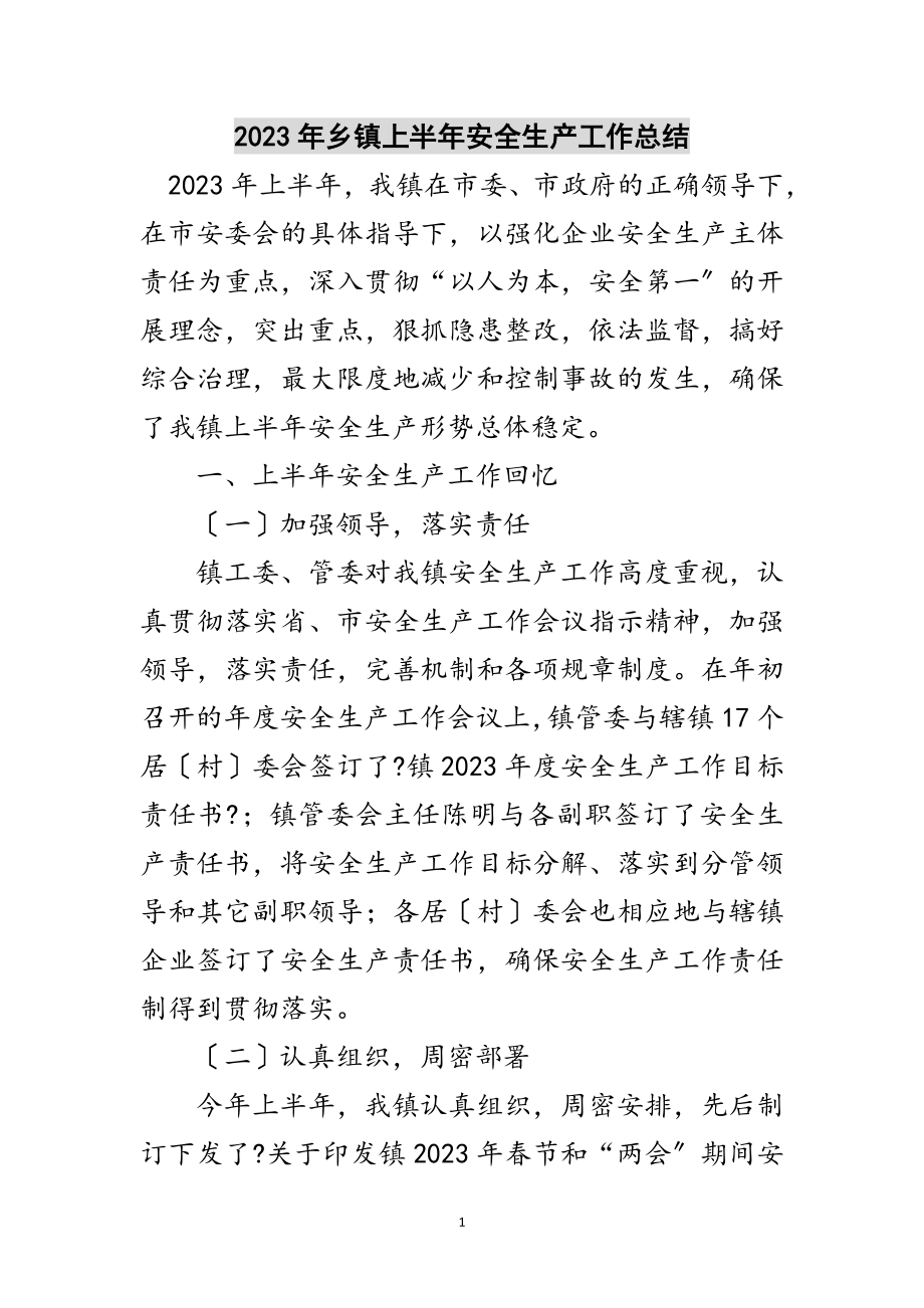 2023年年乡镇上半年安全生产工作总结范文.doc_第1页