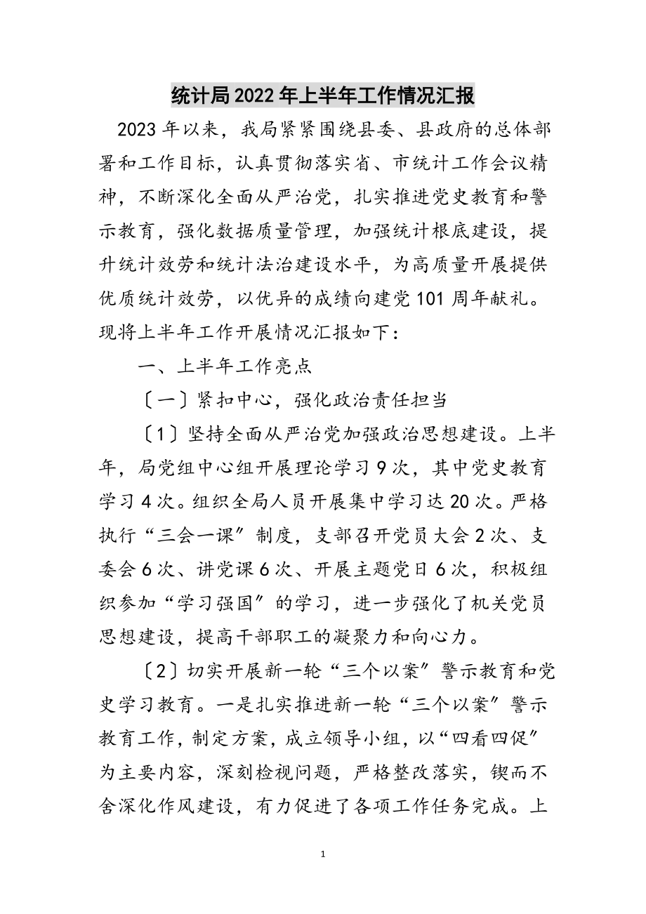 2023年统计局年上半年工作情况汇报范文.doc_第1页