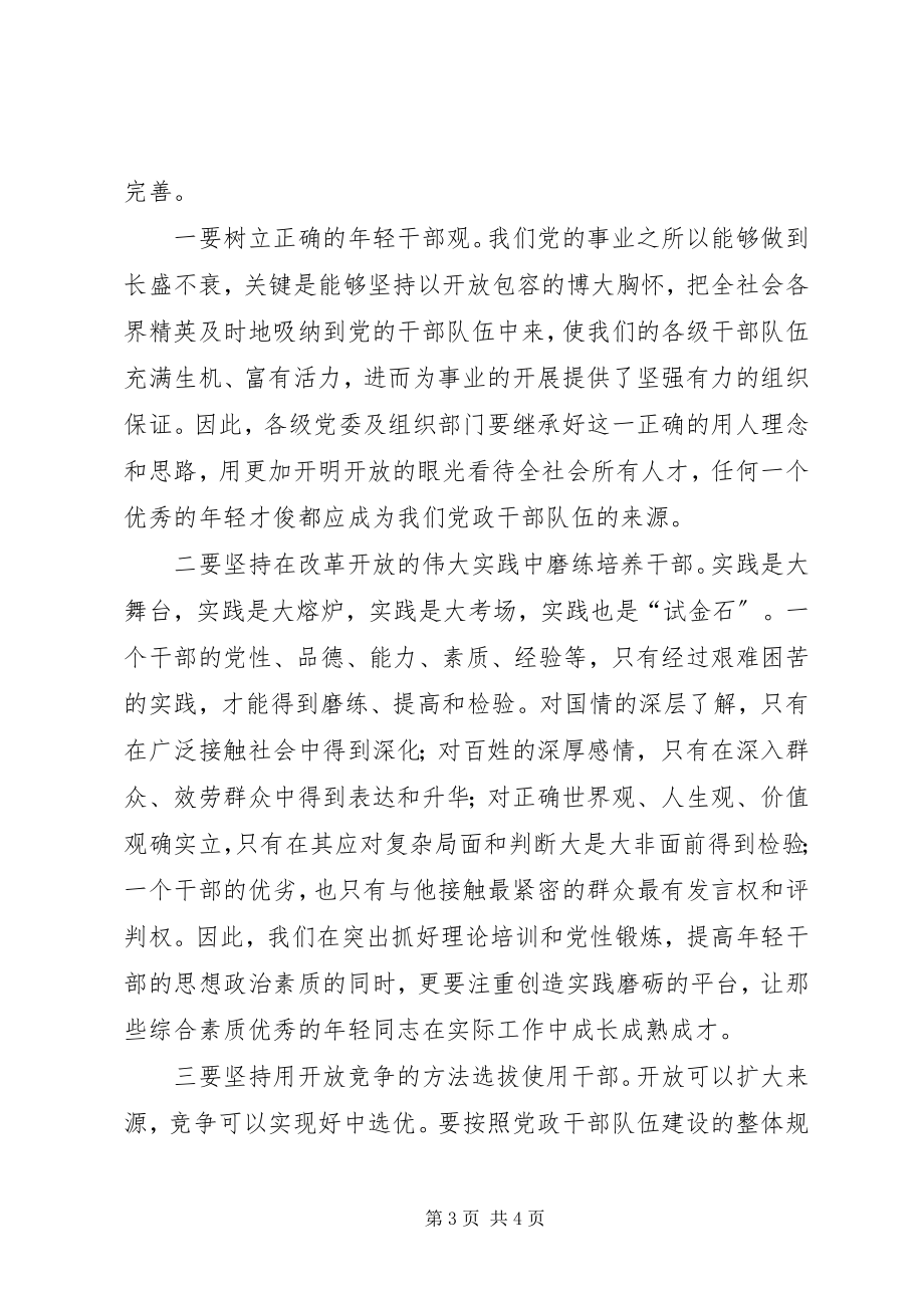 2023年轻干部工作理念开放思考.docx_第3页