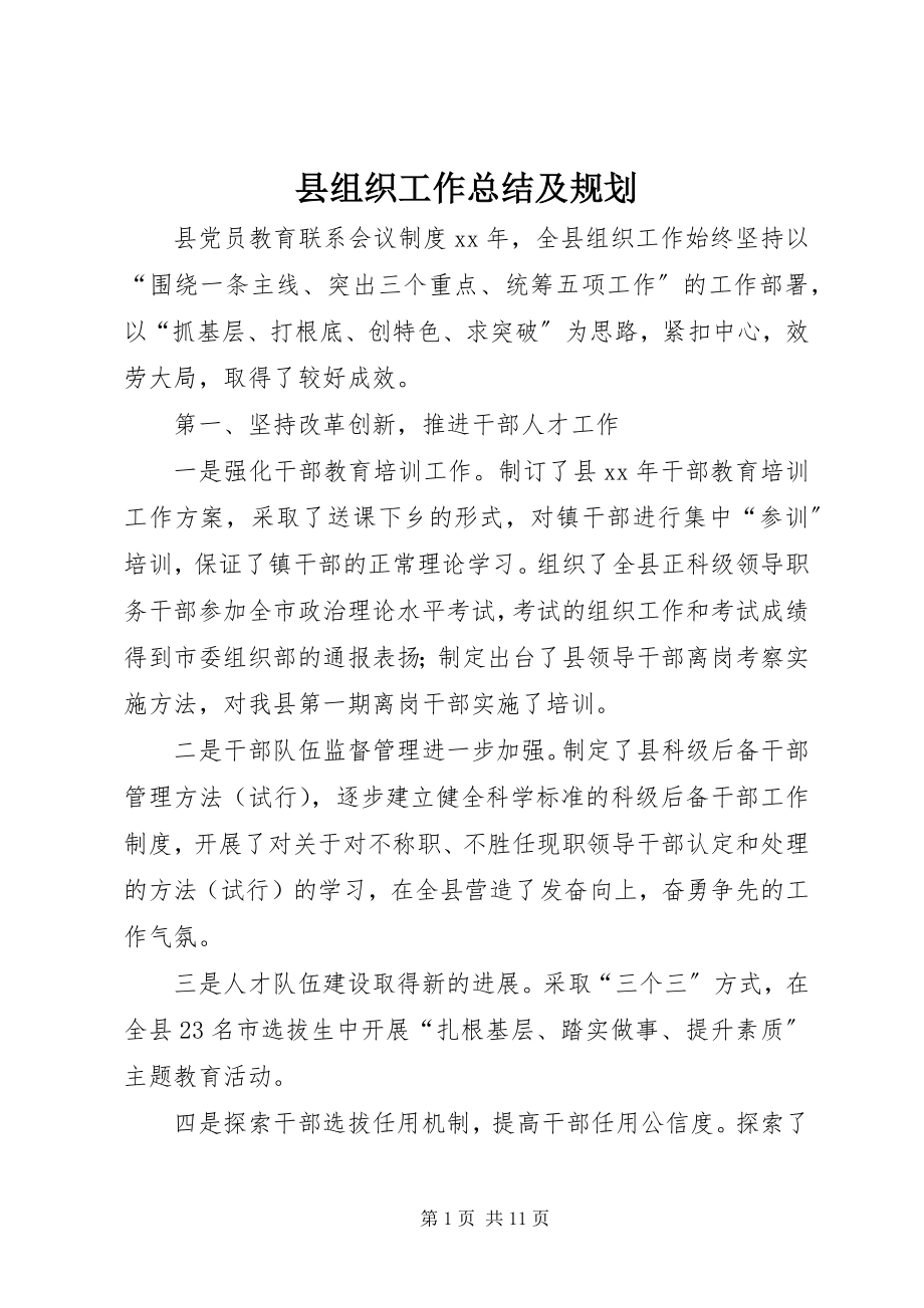 2023年县组织工作总结及规划.docx_第1页