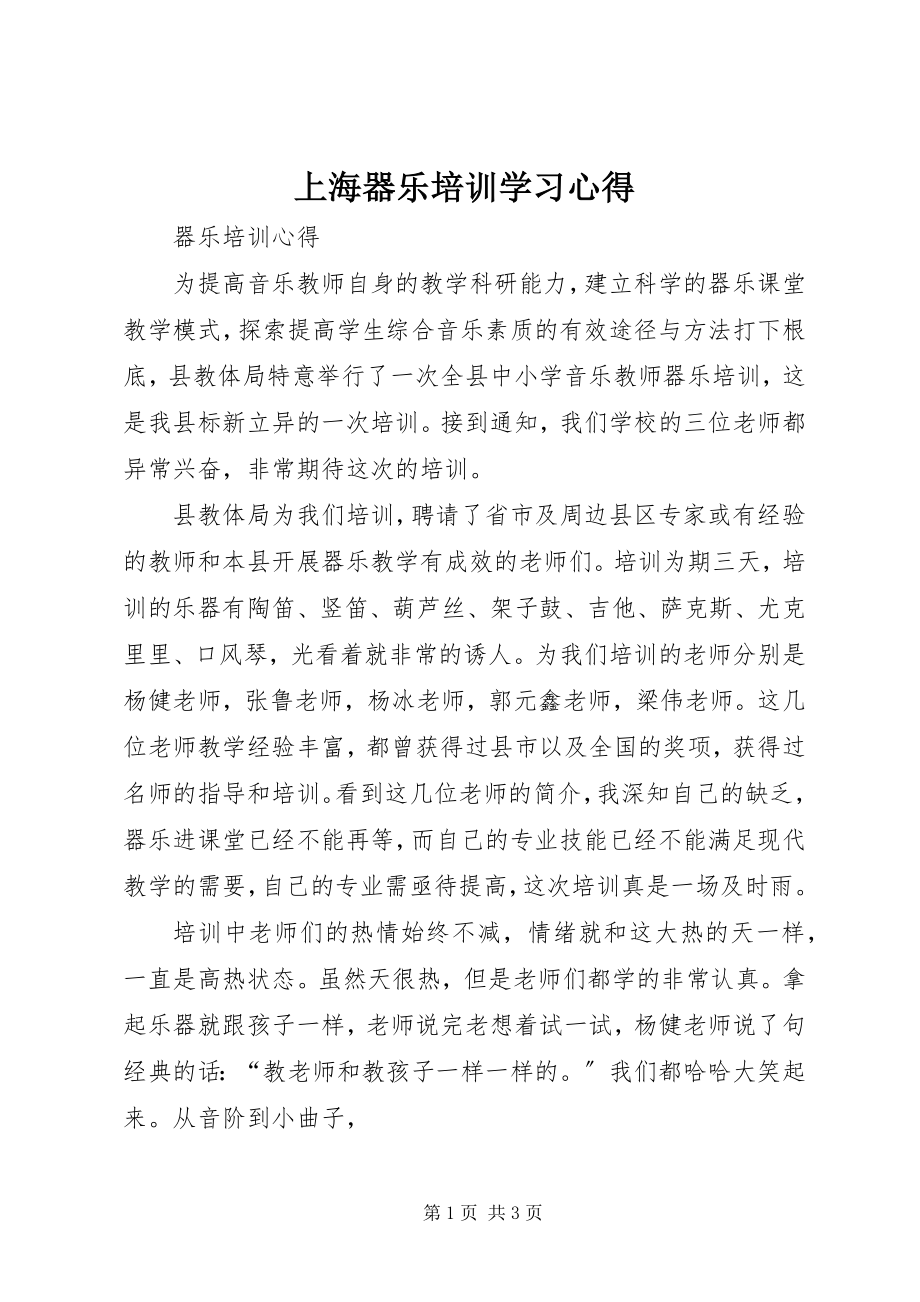 2023年上海器乐培训学习心得.docx_第1页