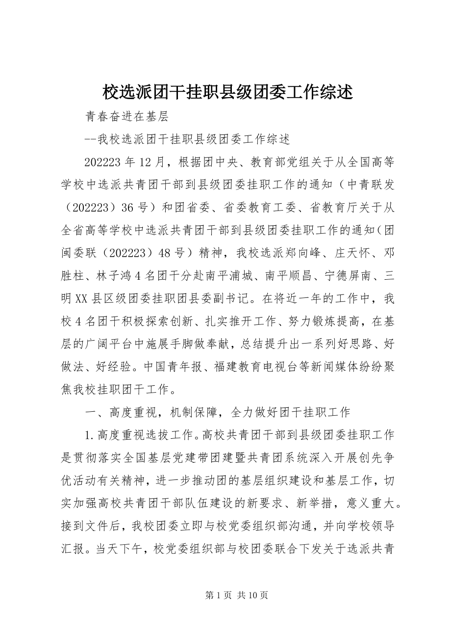 2023年校选派团干挂职县级团委工作综述.docx_第1页