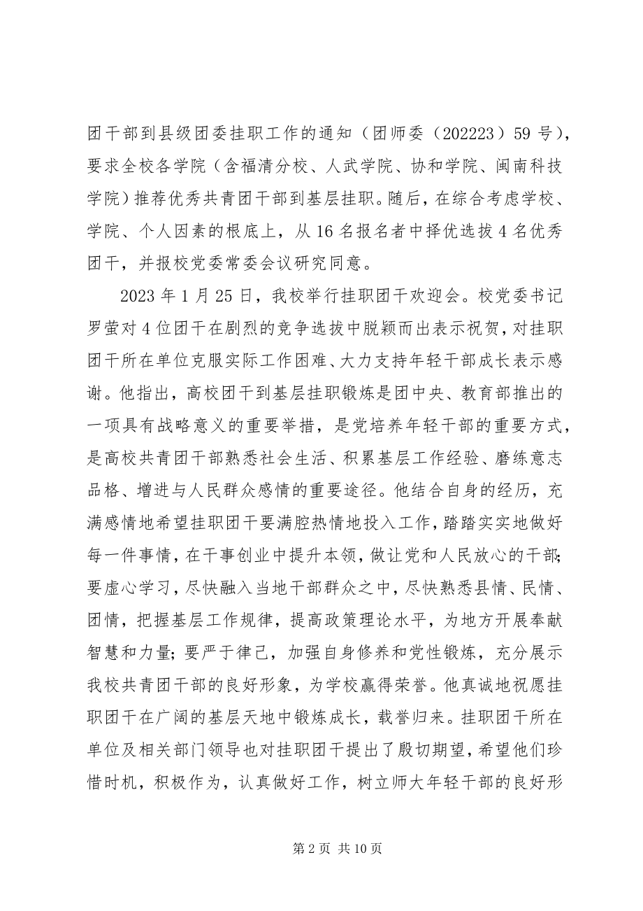 2023年校选派团干挂职县级团委工作综述.docx_第2页